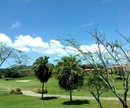 Фото The Woods at Palmas del Mar