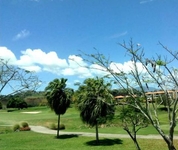 The Woods at Palmas del Mar
