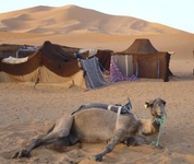 Bivouac Sahara Adventures