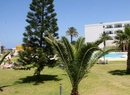 Фото Dessole Bella Vista Hotel (ex.Occidental Grand)