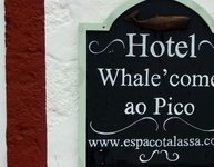 Whale Come Ao Pico Hotel