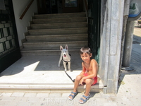 Кос,мальчик и собака