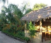 Sauraha Resort
