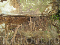 Наши гости отмечают Новый 2011 год на острове Ко Чанг Наши гости отмечают Новый 2011 год на острове Ко Чанг