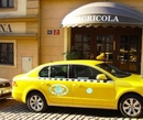 Фото Agricola