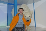 в музее Арктики