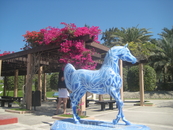 Jumeira beach Park