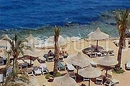 Фото Dreams Beach Sharm El Sheikh