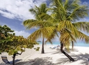 Фото Tranquility Bay Antigua