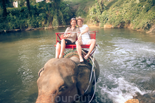 Мы и купание слонихи Пут