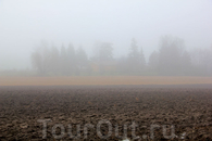 Туман в поле...