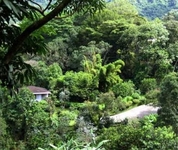 La Montana y el Valle Coffee Estate Inn