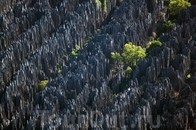 Заповедный каменный лес Цинжи-де-Бемараха (Tsingy de Bemaraha) на западном побережье Мадагаскара. Внесён в список объектов Всемирного наследия ЮНЕСКО