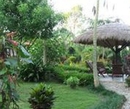 Фото Sauraha Resort