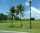 Фото The Woods at Palmas del Mar