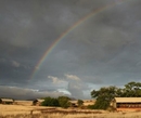 Фото Desert Rhino Camp