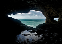 Пещера актиний