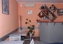 Фото Mini 3 (Мини 3)