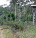 Finca Esperanza Verde