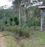 Фото Finca Esperanza Verde