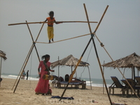 местный цирк местный цирк