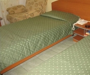 Dorna