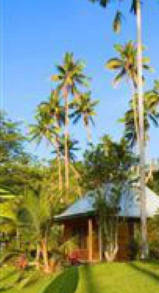 Daku Resort Savusavu