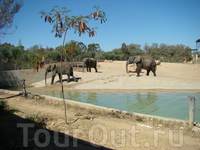 Тунис: День в зоопарке - Friguia Park