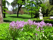 Еще при жизни герцогини в парке было высажено огромное количество цветов. И хотя парк за время существования переходил из рук в руки, все же его поддерживали ...