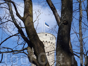 башня Длинный Герман и государственный флаг Эстонии