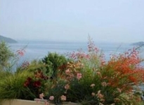 Apartments Herceg Novi