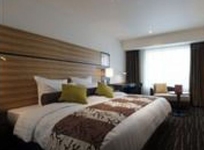 ANA Crowne Plaza Hotel Chitose