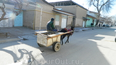 Первые впечатления