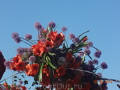 Парад цветов Блюменкорсо 3 мая 2014 года
