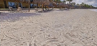 Tamarijn Aruba