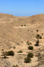 На территории Туниса встречается несколько видов пустынь, и только объехав чуть-ли не пол страны можно увидеть насколько Тунис контрастен