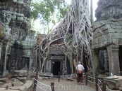 Ta Prohm