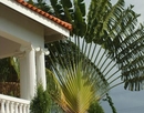 Фото Paradise Palms Jamaica Villa