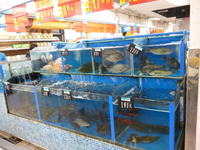 Супермаркет Траст.Рыбка живая