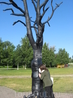 "Дерево желаний" от шведского города Умео