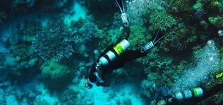 Divers Mabul Resort