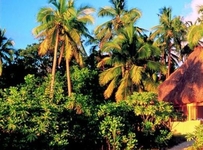 Vatulele Island Resort