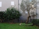 Фото Apartments Nion