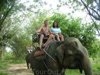 22 декабря 2010. Квай. Elephant Rides.