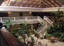 Фото Iberostar Parque Central (ex.NH Parque Central)