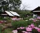 Фото Baan Pai Dao Resort