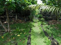 Kosrae Village Ecolodge