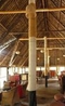 Фото LOasis Lodge and Annexe