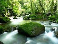 Costa Rica Marriott Hotel San Jose