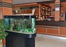 Фото Dyrrah Hotel